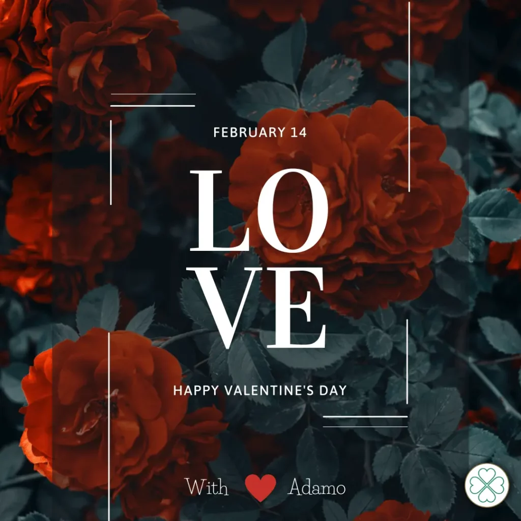 Adamo Skincare Valentine's Day wishes